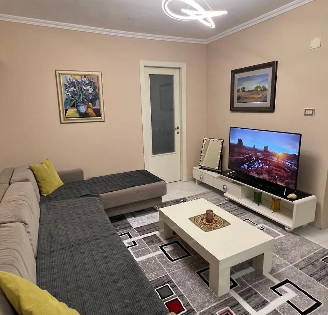 Bright & Roomy Center 티라나
